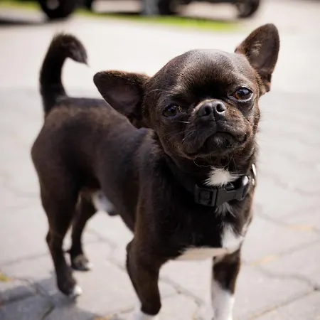 Joanna Jasinska * Dąbki