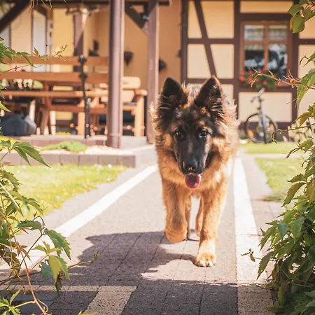 Joanna Jasinska Affittacamere *