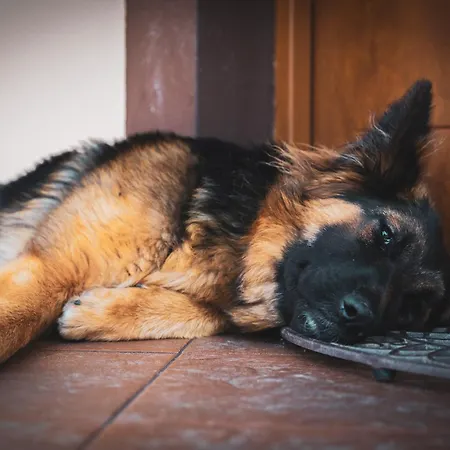 Affittacamere Joanna Jasinska *