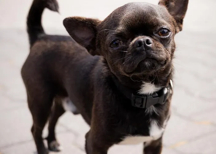 Joanna Jasinska * Dąbki