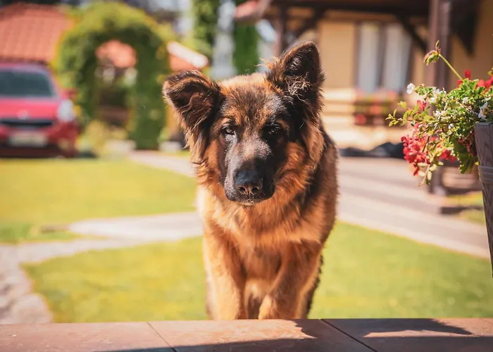 Joanna Jasinska Maison d'hôtes *